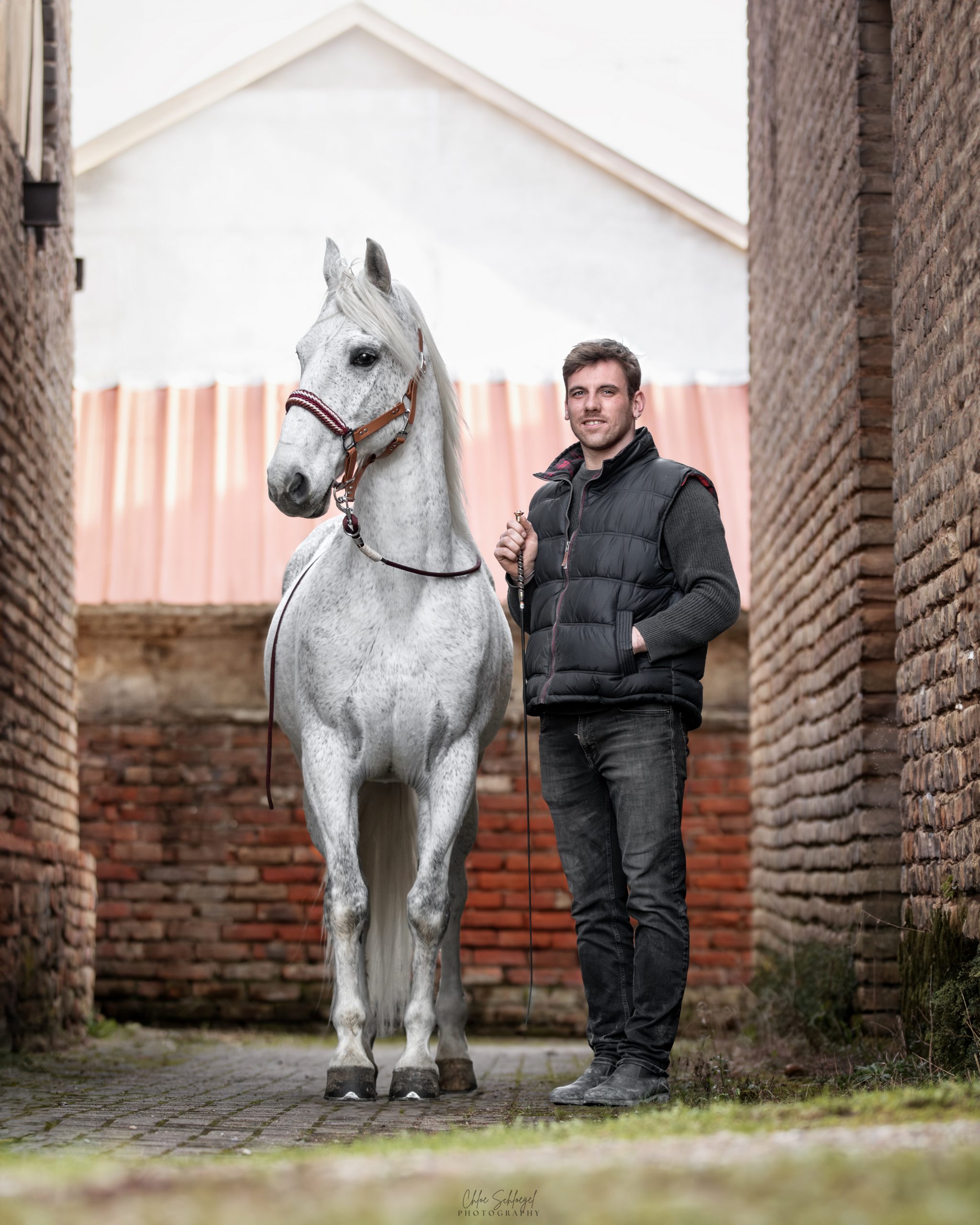 image équestre - Un homme se tenant debout dans une ruelle à coté d'un cheval blanc portant un licol en biothane marron fait main avec une muserolle tressée