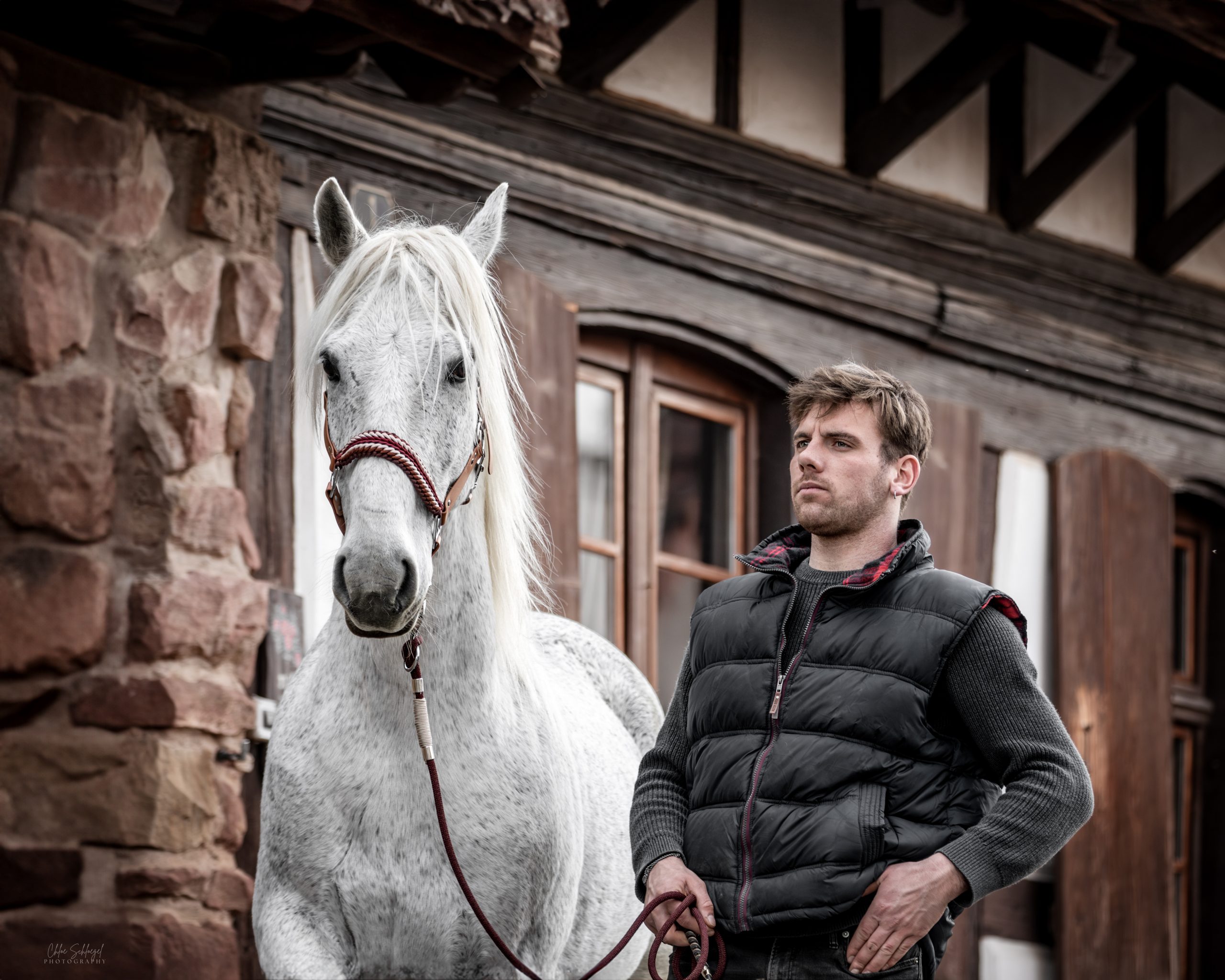 image équestre - Un homme se tenant debout devant une maison alsacienne à coté d'un cheval blanc portant un licol en biothane marron fait main avec une muserolle tressée